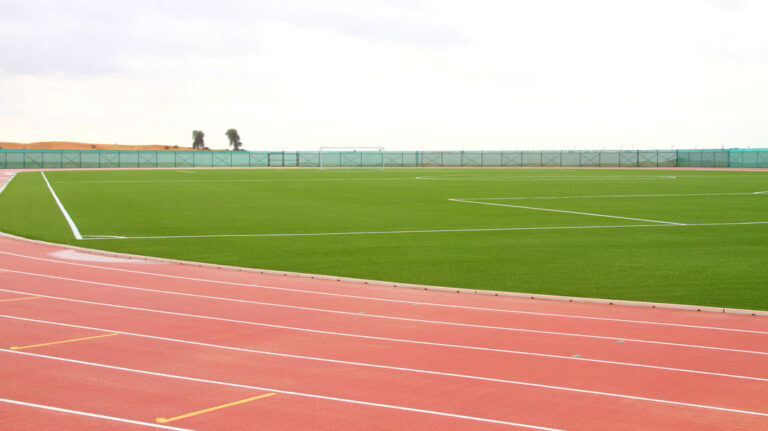 What Are the Best Eco-Friendly Artificial Grass Solutions Available in the UAE?