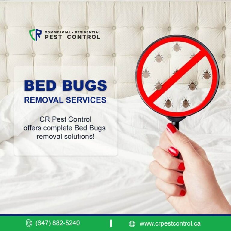 How to Prevent Bed Bug Bites While Sleeping