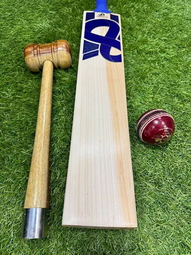 Difference Between T20 and Test Cricket Gear: What Really Changes?