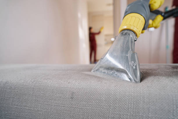 Upholstery Cleaning Service Fairfax for Fresh Homes