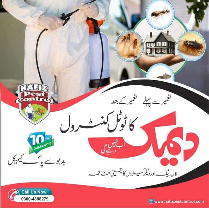 Pest Control & Pest Control Lahore | HafizPestControl
